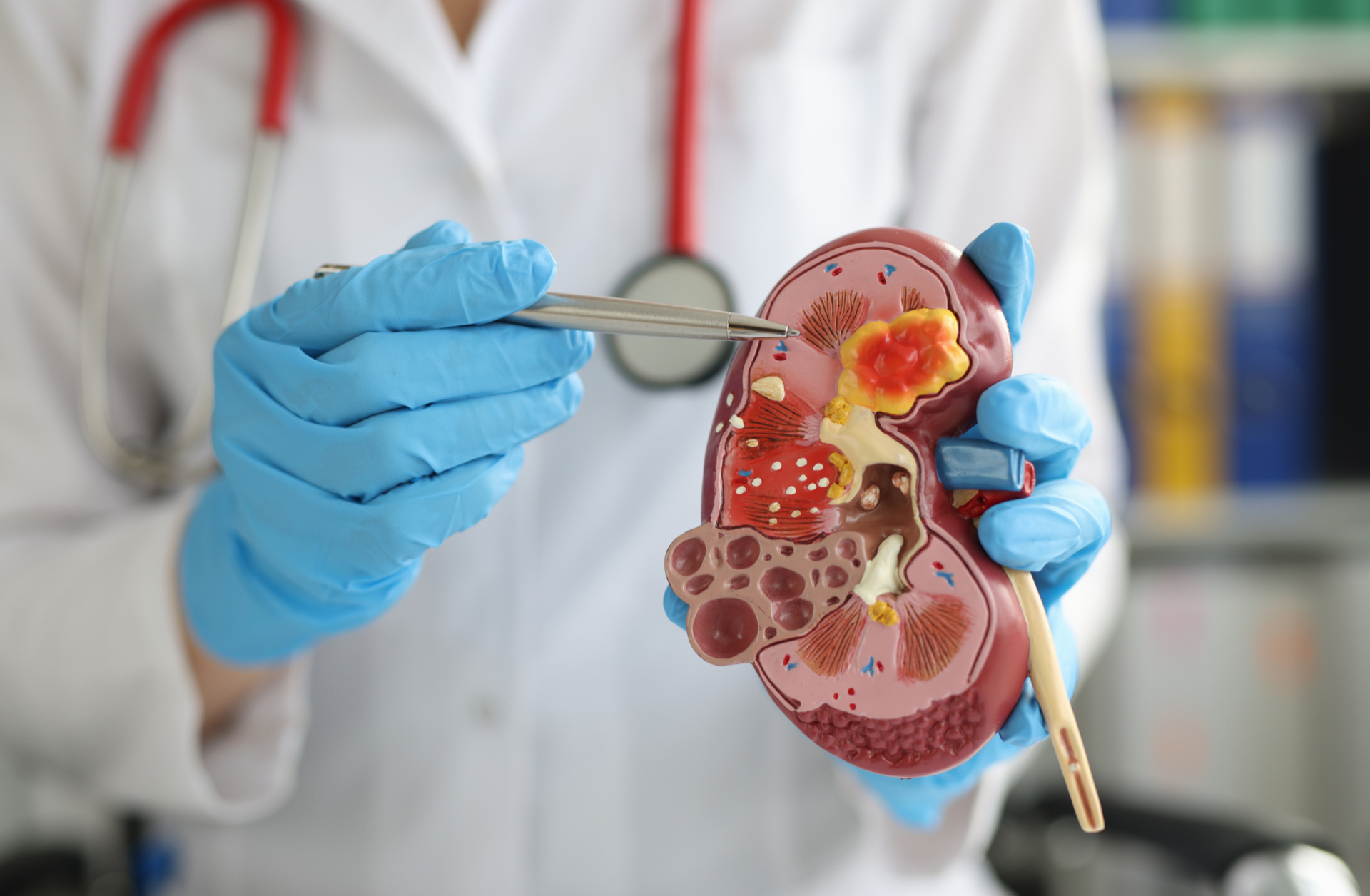 First Cardiology Consultant - world kidney day